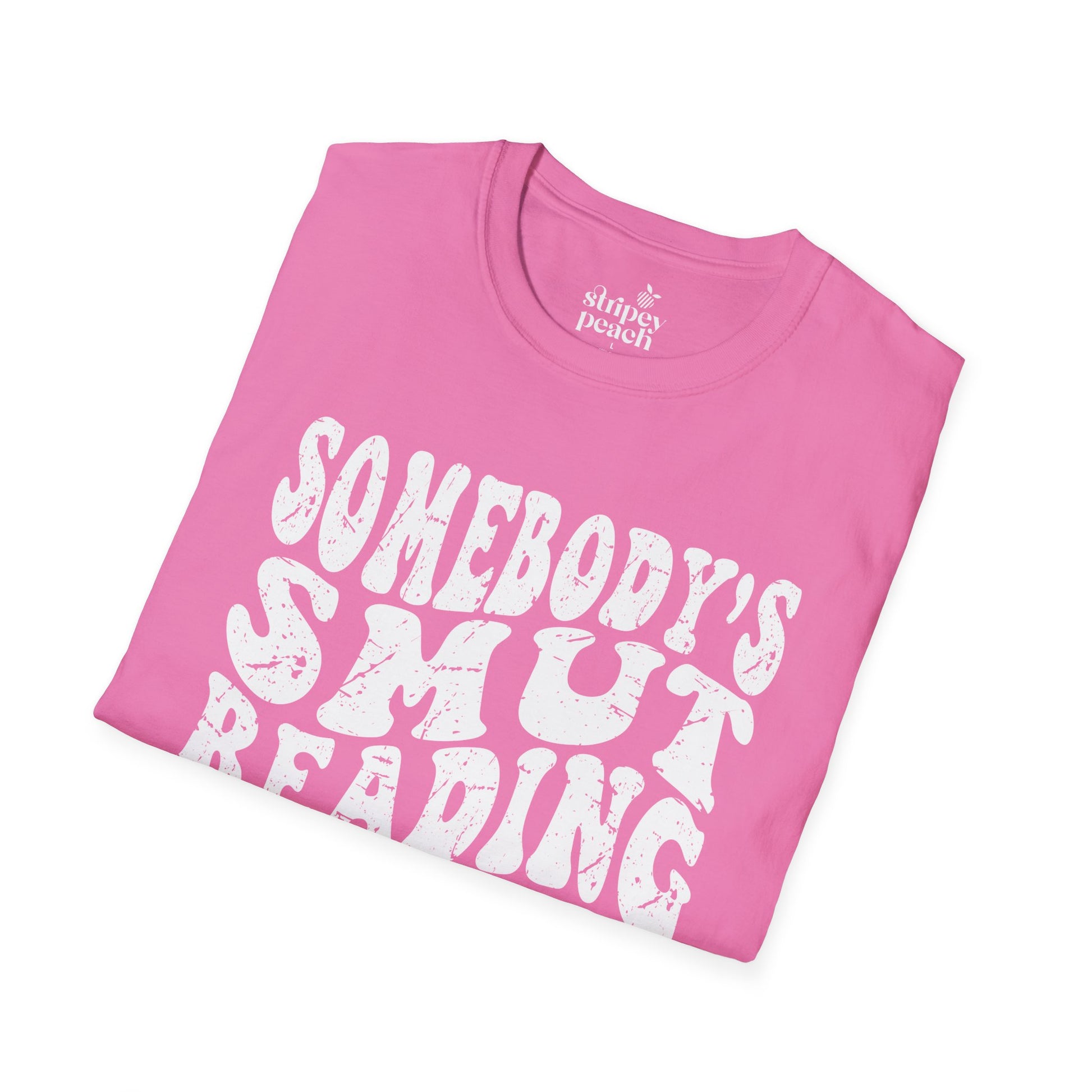 Somebody's Smut Reading Wife T-Shirt-Stripeypeach