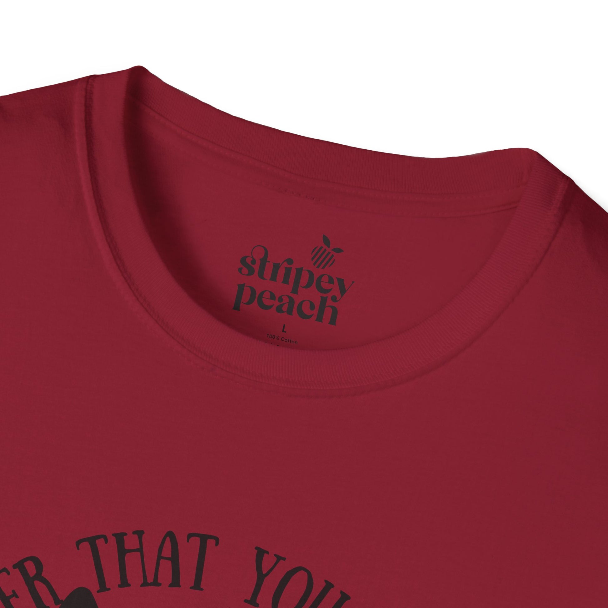Remember That You are A Wolf l ACOTAR Book Quote T-shirt-Stripeypeach